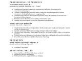 Resume Template for It Expert Preferred Resume Templates Resume Genius