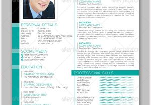 Resume Template for It Professional Professional Resume Template 60 Free Samples Examples