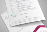 Resume Template Indesign Free 8 Sets Of Free Indesign Cv Resume Templates Designfreebies