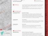 Resume Template Indesign Free 85 Free Cv Indesign Resume Templates In Ai HTML Psd