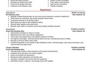 Resume Template Server Unforgettable Lane Server Resume Examples to Stand Out