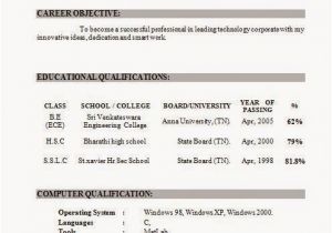 Resume Template Word Document Resume In Word Document