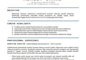 Resume Template Word Document Resume Templates Word Doc All About Letter Examples
