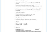 Resume Templates En Espanol Spanish Resume Free Excel Templates