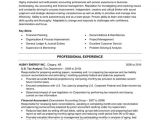 Resume Templates for Accounting and Finance Financial Accountant Resume Template Premium Resume