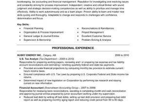 Resume Templates for Accounting and Finance Financial Accountant Resume Template Premium Resume