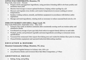 Resume Templates for Cooks Prep Cook Resume Sample Writing Tips Resume Companion