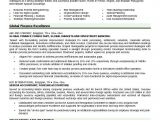 Resume Templates for Finance Professionals Financial Resume Template Resume Builder