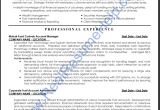Resume Templates for Finance Professionals Financial Resume Template Resume Builder
