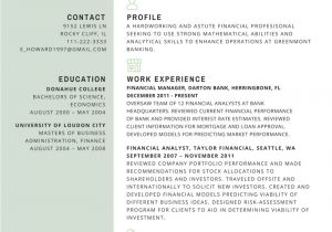 Resume Templates for Finance Professionals Finest Resume Samples for Experienced Finance