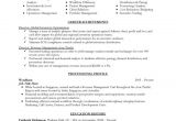 Resume Templates for Finance Professionals Professional Resume Template Download Schedule Template Free