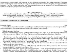 Resume Templates for Finance Professionals top Banking Resume Templates Samples