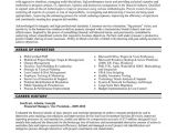 Resume Templates for Finance Professionals top Finance Resume Templates Samples