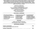 Resume Templates for Hr Professionals Human Resources Professional Resume Template Premium