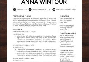 Resume Templates for Mac Resume Template Cv Template for Word Mac by