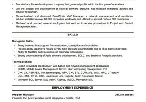 Resume Templates for Project Managers 8 Sample Project Manager Resumes Sample Templates