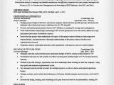 Resume Templates for Project Managers Project Management Resume Amplifiermountain org