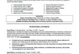 Resume Templates for social Workers Career Objective for social Worker Resume Resume Ideas