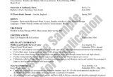 Resume Templates for social Workers Microsoft Work Resume Template 8 Free Word Pdf