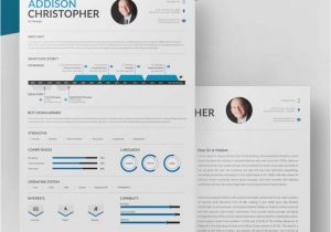 Resume Templates Word Download Project Manager Resume Template 10 Free Word Excel