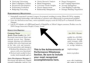Resume with Achievements Sample Cv Examples Key Achievements