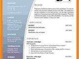 Resume with Photo In Word format Free Download 9 Cv format Ms Word 2007 theorynpractice