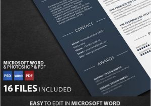 Resume Word format for Graphic Designer 22 Creative Infographic Resume Templates Designs for 2019