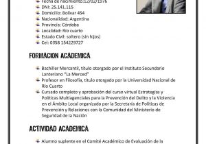 Resumen Profesional Y Laboral Calameo Curriculum Vitae De Luciano Giuliani