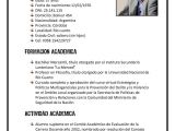 Resumen Profesional Y Laboral Ejemplos Calameo Curriculum Vitae De Luciano Giuliani