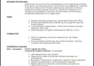 Resumen Profesional Y Laboral Modelo Curriculum Vitae Agente De Compras Livecareer