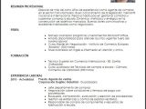 Resumen Profesional Y Laboral Para Curriculum Curriculum Vitae Resumen Profesional