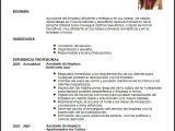 Resumen Profesional Y Laboral Para Curriculum Modelo Cv Ayudante De Limpieza Livecareer