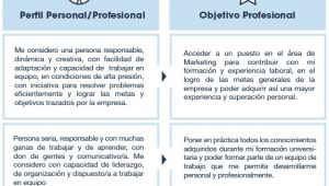 Resumen Profesional Y Laboral Perfil Personal Y Objetivo Profesional Usvirtualempleo