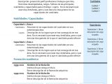 Resumen Y Objetivo Profesional Curriculum Vitae Modelo4b Azul Modelo Curriculum