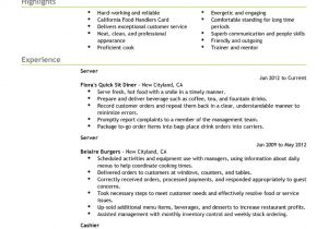 Resumes.com Samples Best Resume Examples for Your Job Search Livecareer