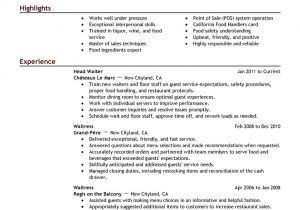 Resumes.com Samples Free Resume Examples by Industry Job Title Livecareer