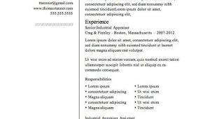 Resumes Templates Free 12 Resume Templates for Microsoft Word Free Download Primer