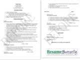 Retail Business Owner Resume Sample Business Owner Resume Example Examples Of Resumes
