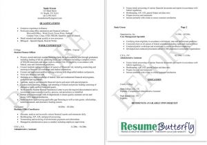 Retail Business Owner Resume Sample Business Owner Resume Example Examples Of Resumes