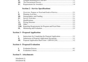 Rfp Questions Template Rfp Template Short form 1