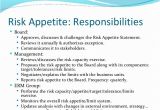 Risk Appetite Template Risk Appetite