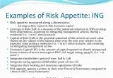 Risk Appetite Template Risk Appetite