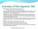 Risk Appetite Template Risk Appetite