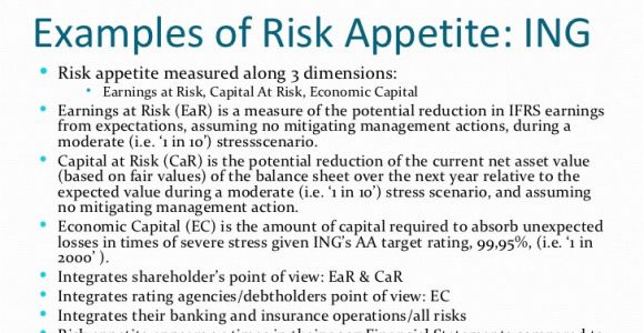 Risk Appetite Template Risk Appetite