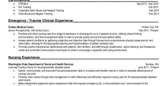 Rn Student Resume Nursing Student Resume Example 10 Free Word Pdf