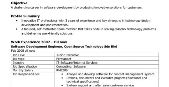 Roles and Responsibilities Of software Engineer Resume Sample software Engineer Resume 8 Examples In Word Pdf