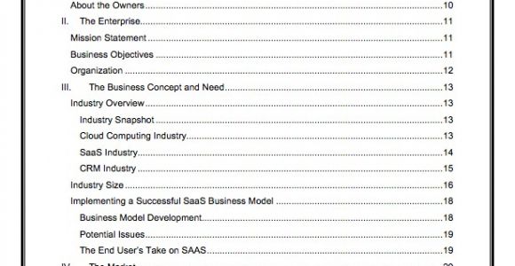 Saas Business Plan Template software as A Service Company Business Plan Template Saas
