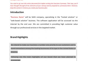 Saas Business Plan Template software as A Service Saas Business Plan Template Sample