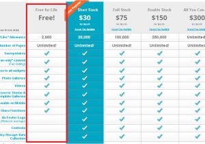 Saas Pricing Model Template top 5 Pricing Strategies for Subscription Businesses