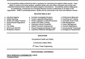 Safety Professional Resume Field Safety Coordinator Resume Template Premium Resume